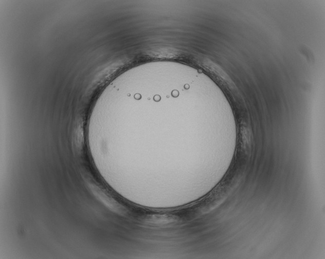 X0000113880541200910221358