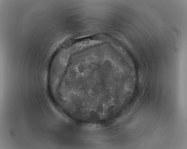 X0000113880542200910221358
