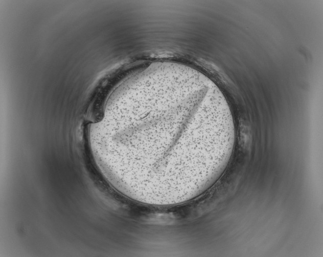 X0000113880543200910221358