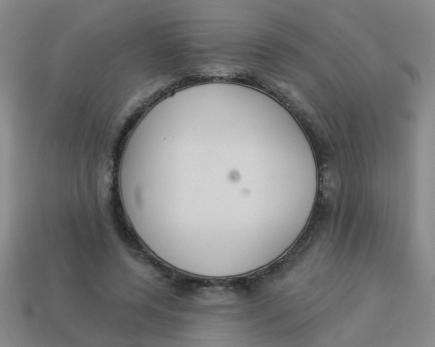 X0000113880544200910221358