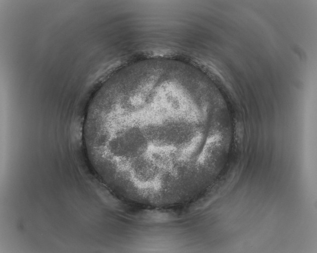 X0000113880545200910221358