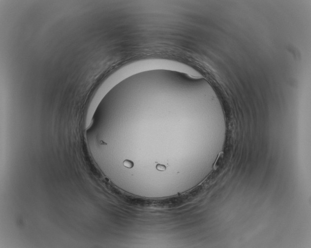 X0000113880546200910221358