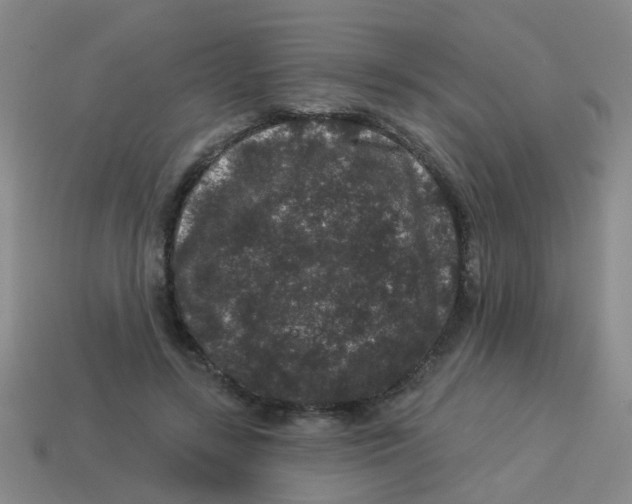 X0000113880547200910221358