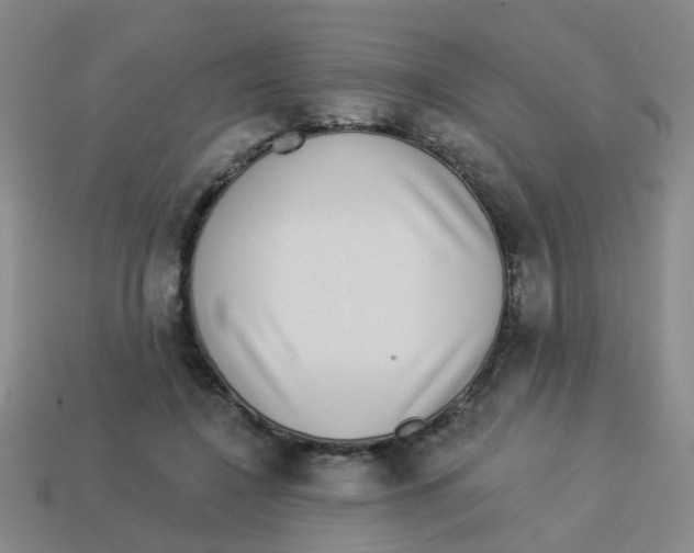 X0000113880548200910221358