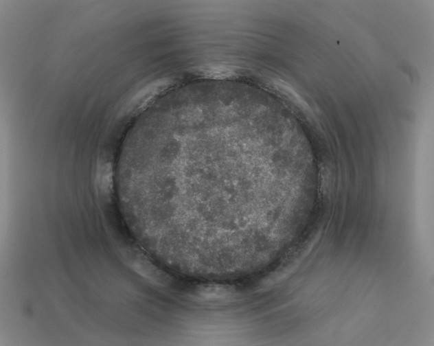 X0000113880549200910221358