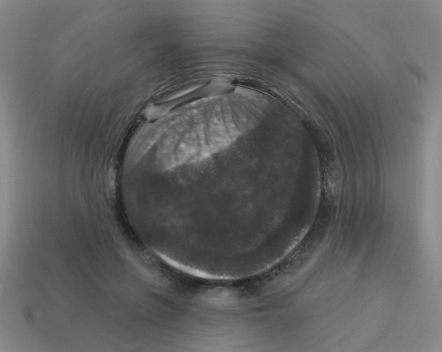 X0000113880551200910221358