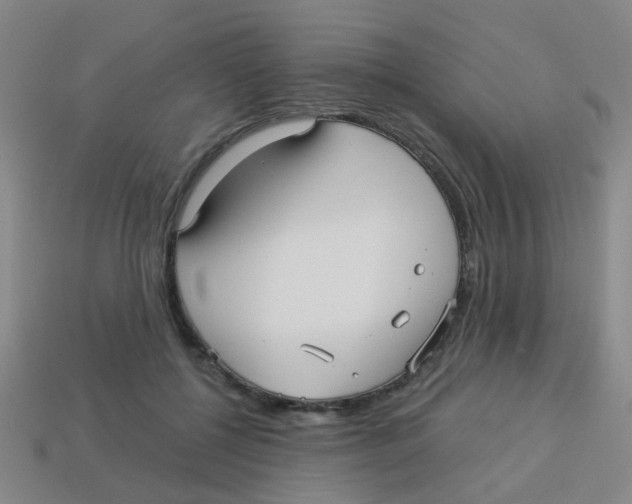 X0000113880552200910221358