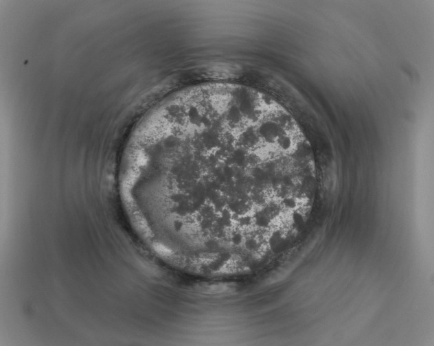 X0000113880553200910221358