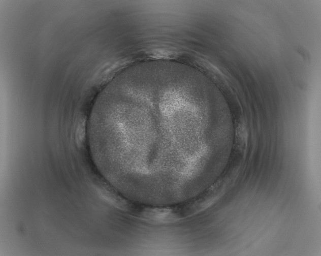 X0000113880554200910221358