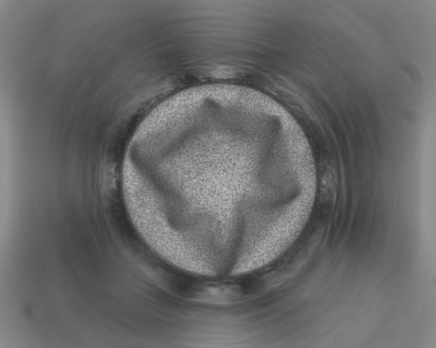 X0000113880555200910221358
