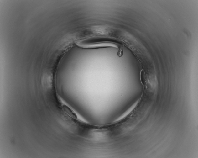 X0000113880556200910221358