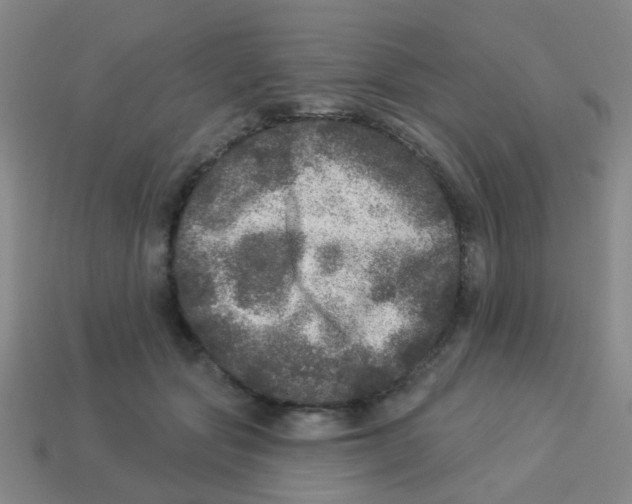 X0000113880557200910221358