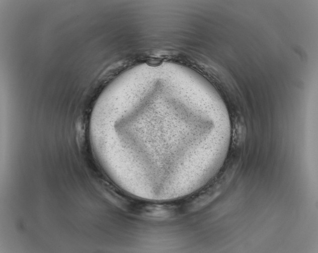 X0000113880558200910221358