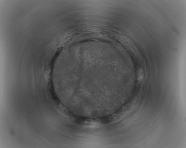 X0000113880559200910221358