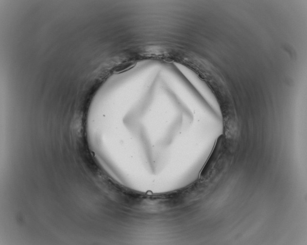 X0000113880560200910221358
