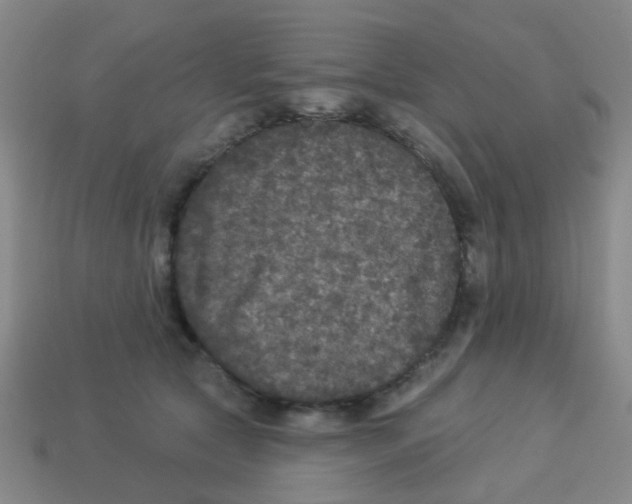 X0000113880561200910221358