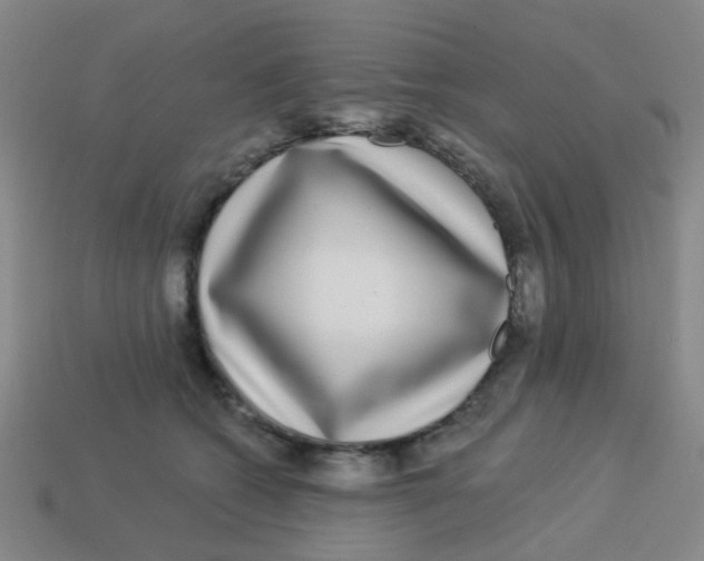 X0000113880562200910221358