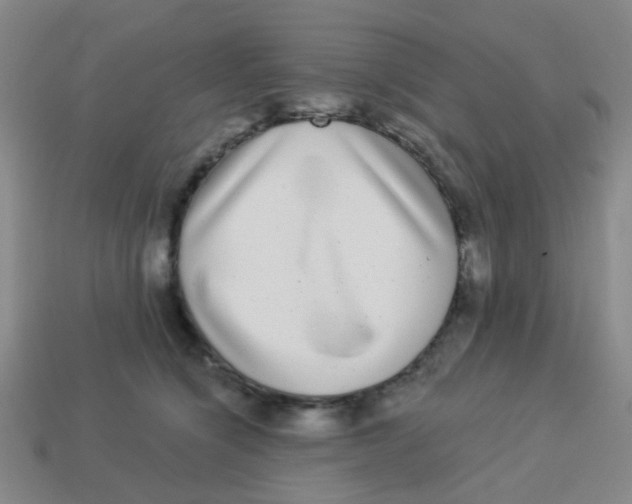 X0000113880564200910221358