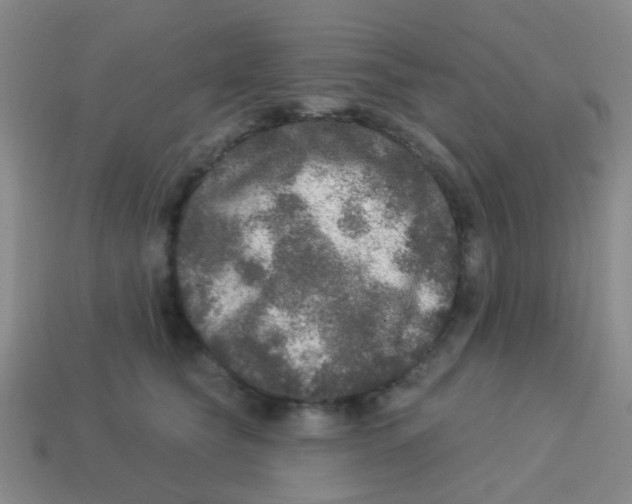 X0000113880565200910221358