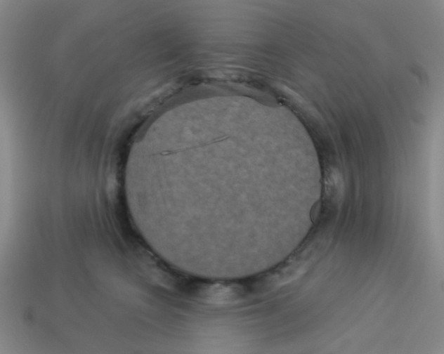 X0000113880566200910221358