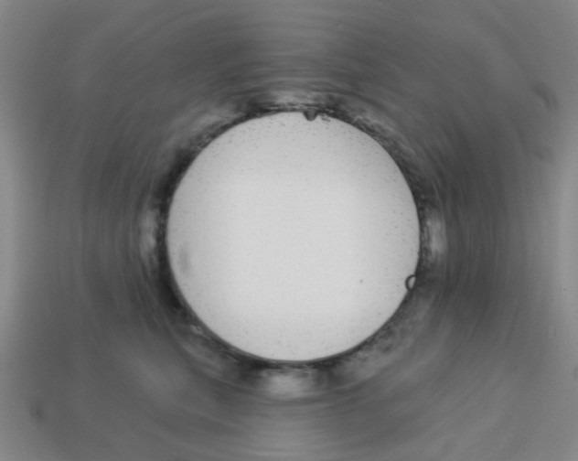 X0000113880567200910221358