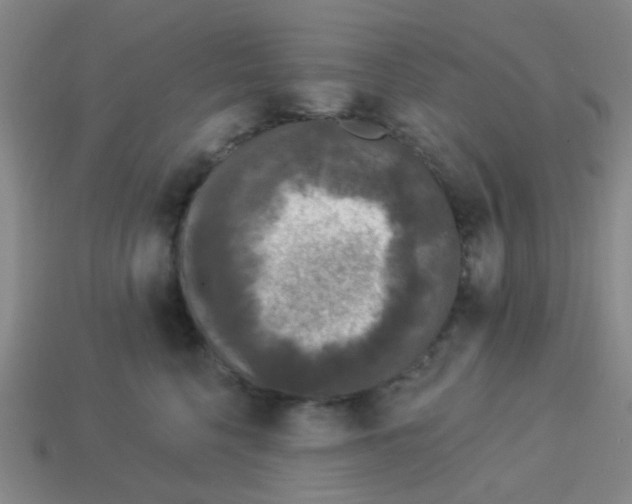 X0000113880568200910221358