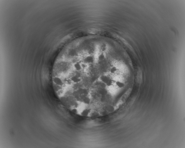 X0000113880569200910221358