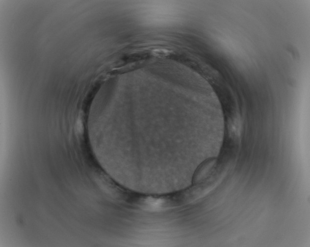 X0000113880570200910221358