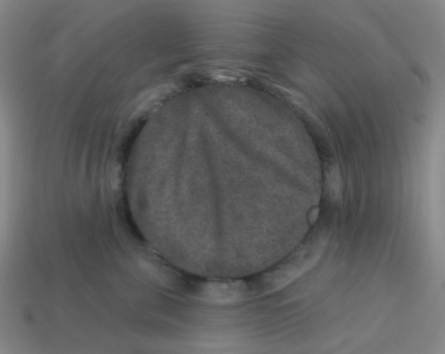 X0000113880571200910221358