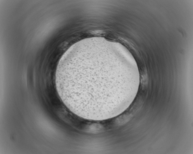 X0000113880572200910221358