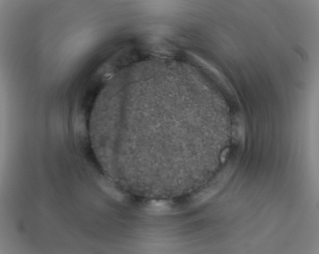 X0000113880573200910221358