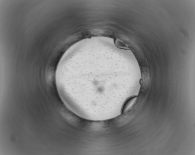 X0000113880574200910221358