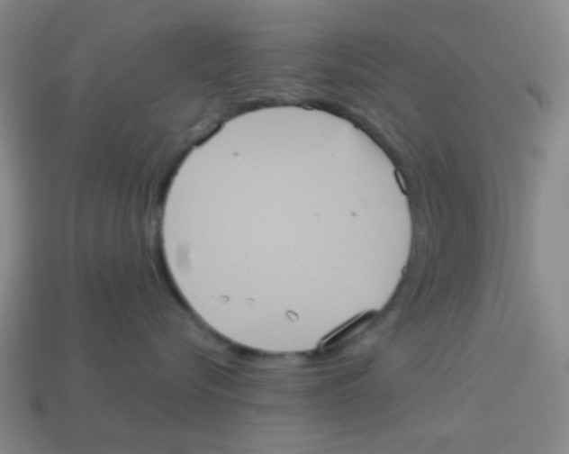 X0000113880576200910221358