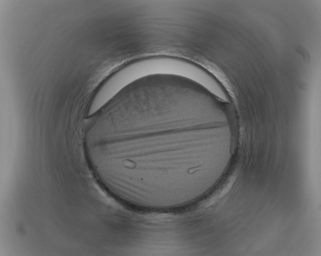 X0000113880577200910221358