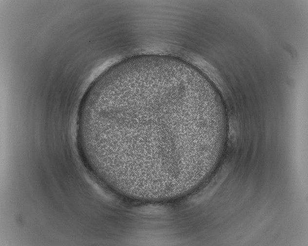X0000113880578200910221358