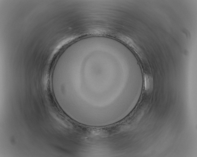 X0000113880579200910221358