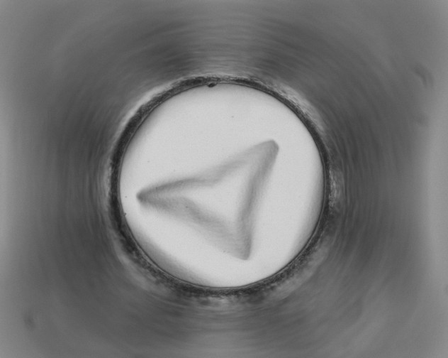 X0000113880580200910221358