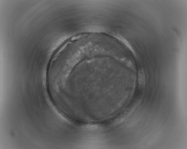 X0000113880581200910221358