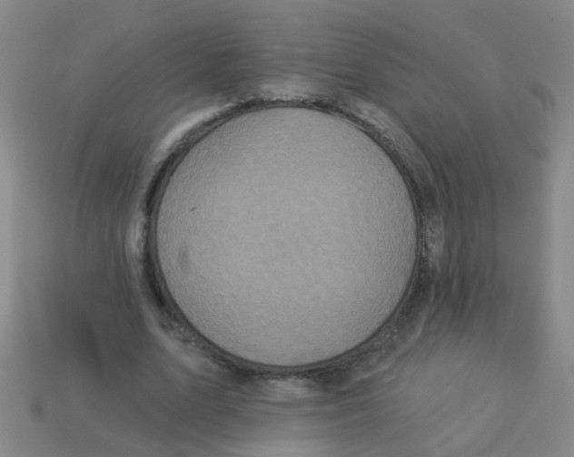 X0000113880583200910221358