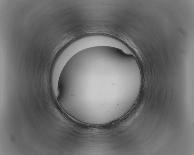 X0000113880585200910221358