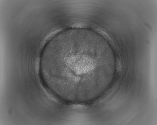 X0000113880586200910221358