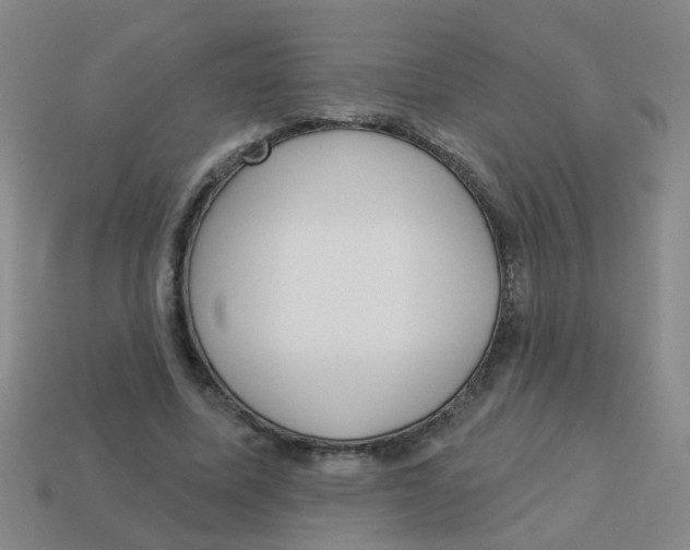 X0000113880587200910221358