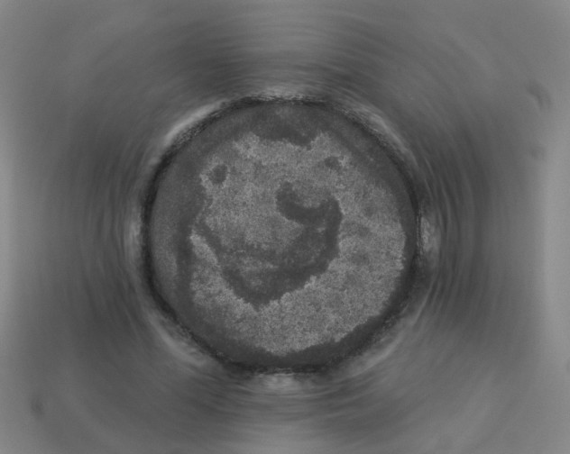 X0000113880588200910221358
