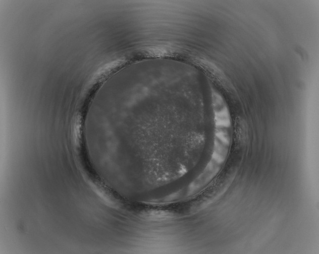 X0000113880590200910221357