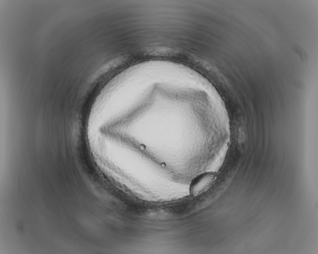 X0000113880591200910221357