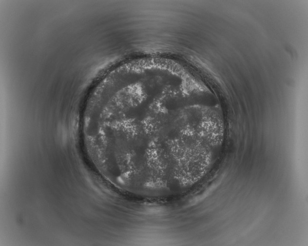 X0000113880592200910221357