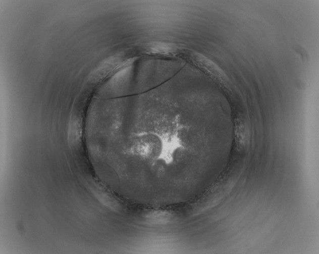 X0000113880593200910221357