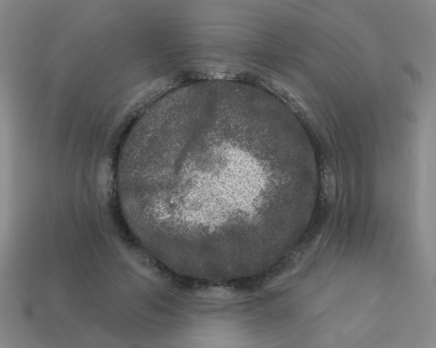 X0000113880594200910221357