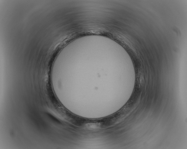 X0000113880595200910221357
