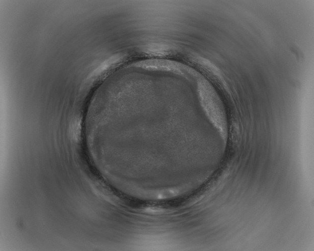 X0000113880596200910221357